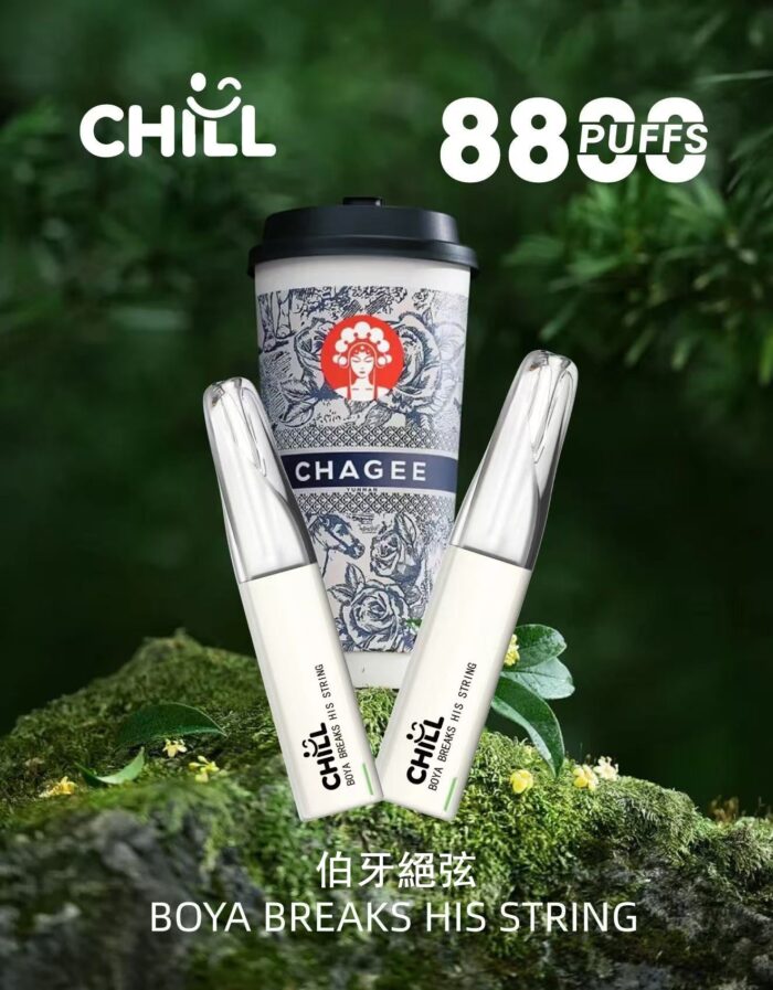 【續航怪獸-全新上市】CHILL 拋棄式 8888口電子煙：圖片 9