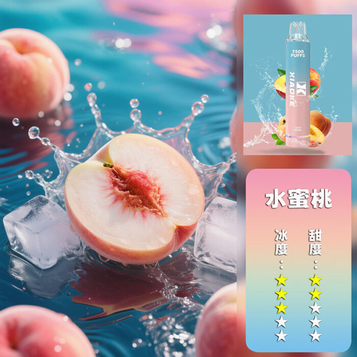 XIAOKE 梟客抛棄式 7500口：圖片 5